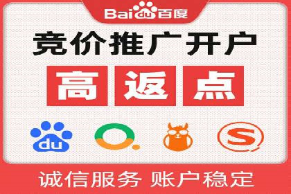 专业SEM代运营公司案例分析